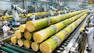 Inside a Modern Cane Sugar Factory: From Stalk to Crystal
