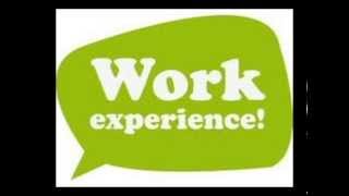201MC Professional Experience