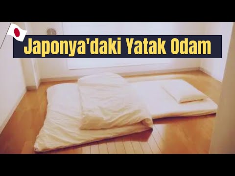 Minimalizm | Köle