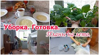 Уборка// Готовка// Планы на лето// Как растёт рассада// Будни мамы//