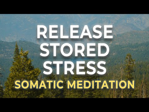Release Stored Stress in Your Body | Somatic Meditation for Emotional & Physical Tension Relief