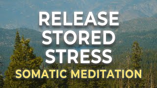 Release Stored Stress in Your Body | Somatic Meditation for Emotional & Physical Tension Relief
