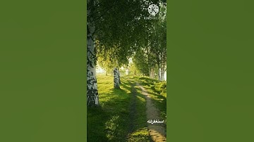 تلاوه هادئه ارح قلبك ( القران الكريم ) …!🤲🏽🌳