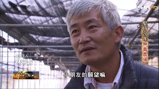 林忠智堅持20年 堅持20年無毒農場 TVBS一步一腳印 20160320 (1/3)