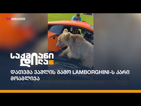 დათვმა ვაშლის გამო Lamborghini-ს კარი მოაგლიჯა