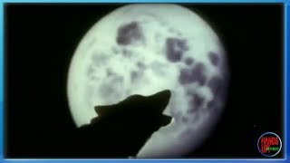 Empyre One & Enerdizer - Moonlight Shadow (Flashback One Video Edit)