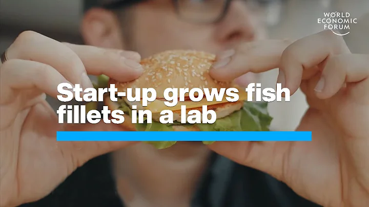 This Hong Kong Start-Up Grows Fish Fillets in a Lab | Green Solutions | World Economic Forum - DayDayNews