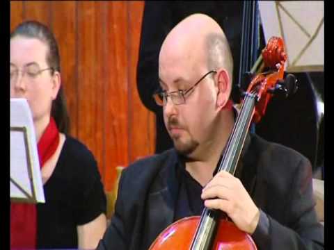 Erhan Shukri, String chamber orchestra \