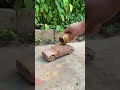 diy tractor mini wheat all process science project|wheat A-Z process|‎‎@FXCFomini  #163