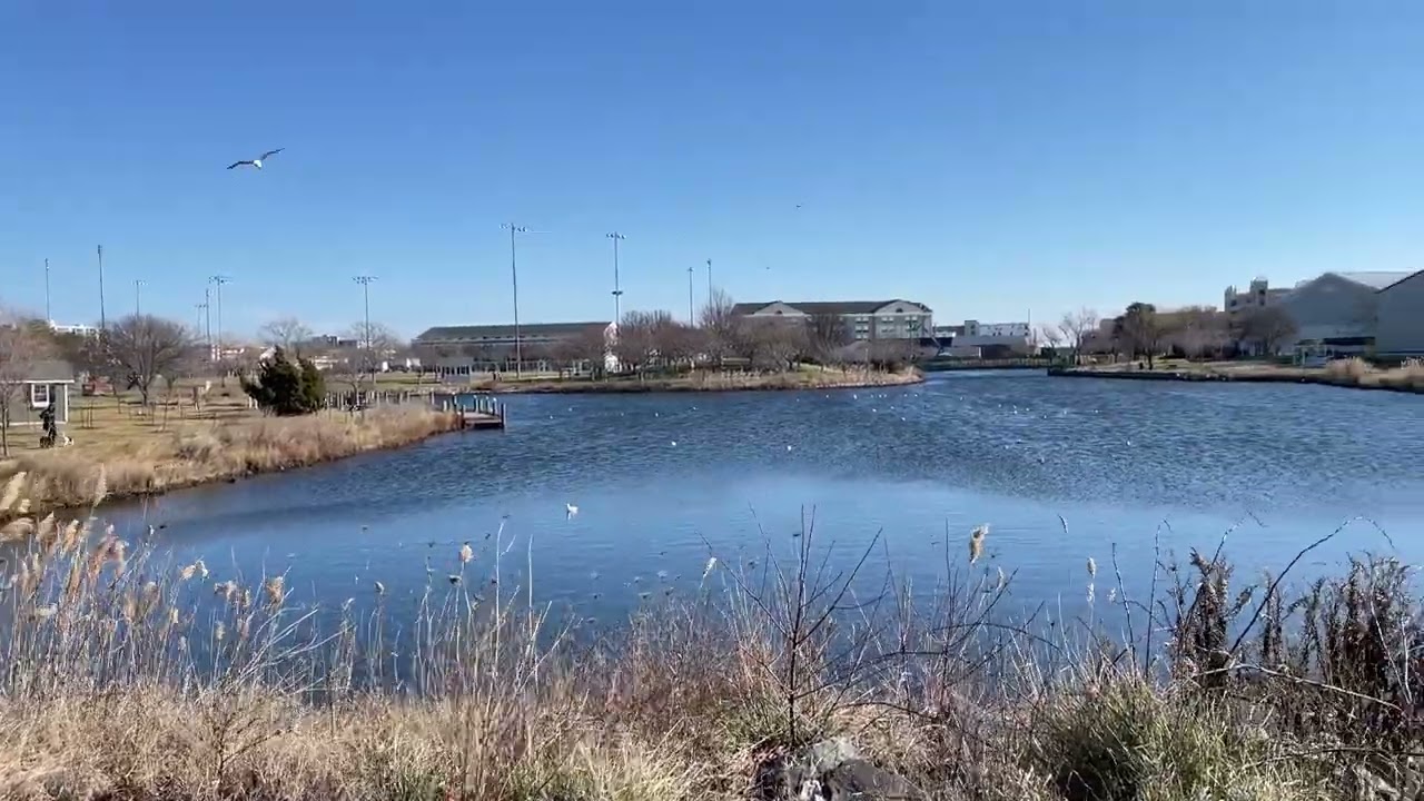 Northside Park on a windy winters day