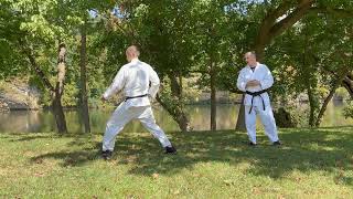 Heian Shodan Walk Through