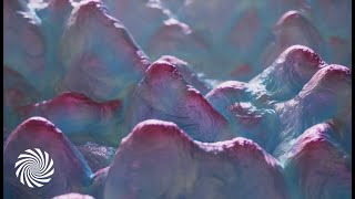 Djantrix - Poison (V-Society Remix) [Psychedelic Visuals]
