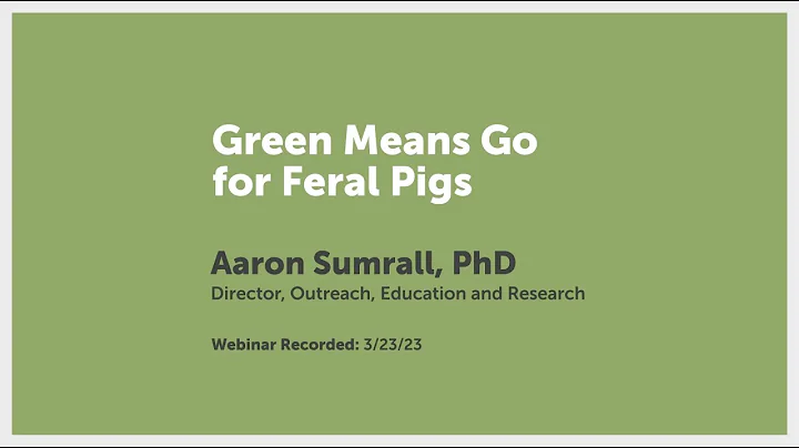 Green Means Go for Feral Pigs | Pig Brig Trap Systems