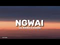 Lil maina ft danski - Ngwai (lyrics)