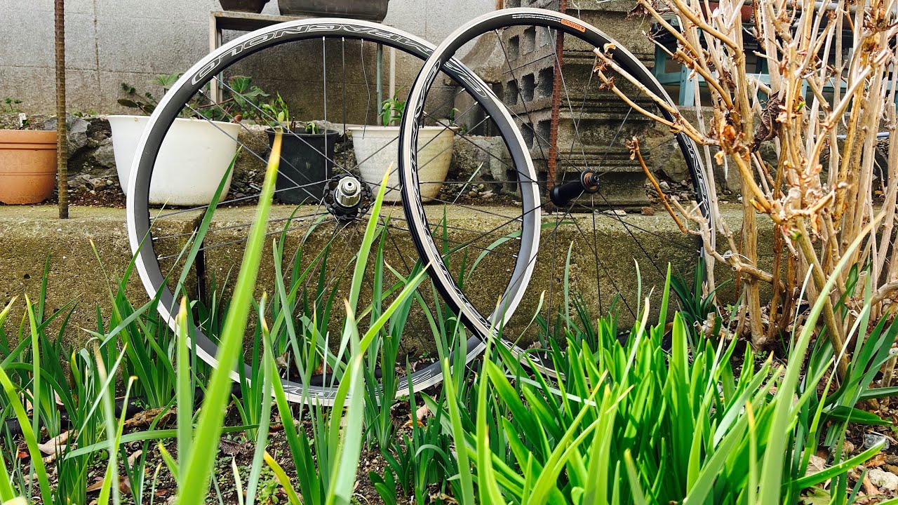 スポークが逝ってしまったゾンダさんを修理する【CAMPAGNOLO ZONDA