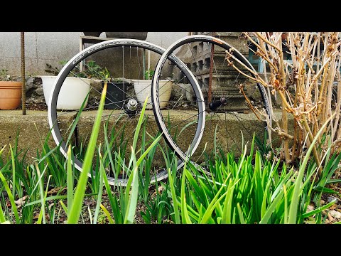 スポークが逝ってしまったゾンダさんを修理する【CAMPAGNOLO ZONDA