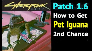 Pet Iguana (2nd Chance) Patch 1.6 (Cyberpunk 2077) Re-Enter Konpeki Plaza &amp; How to Hatch Iguana Egg
