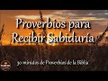 Proverbios para recibir sabiduría de parte de Dios | Biblia hablada | Bible audio