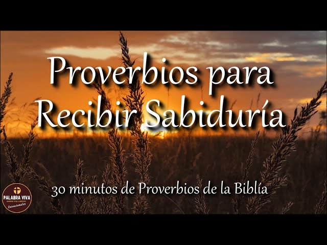 Proverbios para recibir sabiduría de parte de Dios | Biblia hablada | Bible audio class=