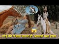 घोड़े की ये बात जान लो😱 | Hindi facts about horse | Horse Facts | The motivators ashu | Do you know?