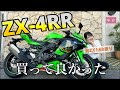【400cc最高峰】大型バイクから乗り換えて良かった!【バイク女子】