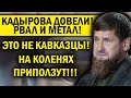 КАДЫРОВА ДОВЕЛИ: РАЗМАЗАЛ КАВКАЗЦЕВ! ОНИ НЕЛЮДИ, ИЗВИНЕНИЯ НЕИЗБЕЖНЫ!