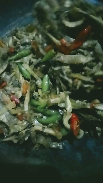 Masak ikan teri basah,dihip cabe ijo