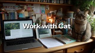 Work with Cat 😸🧸 30/5 Pomodoro Timer 📚 Lofi hip hop Beats 🕯 Deep Focus, for ADHD Brain