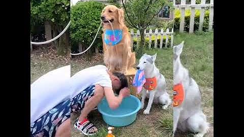 💯cười đau bung😅😅 ới những pha troll của Trung Quốc