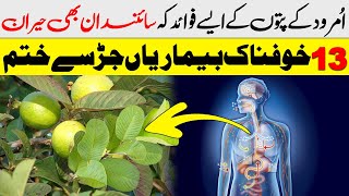 Magical Benefit Of Eat Guava Leaves In Empty Stomach || Islam Advisor