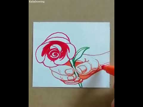 ვარდის ხატვა. Flower drawing easy. Zeichnen lernen bleistift für anfänger