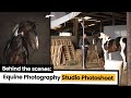 Equine Photography Quiz