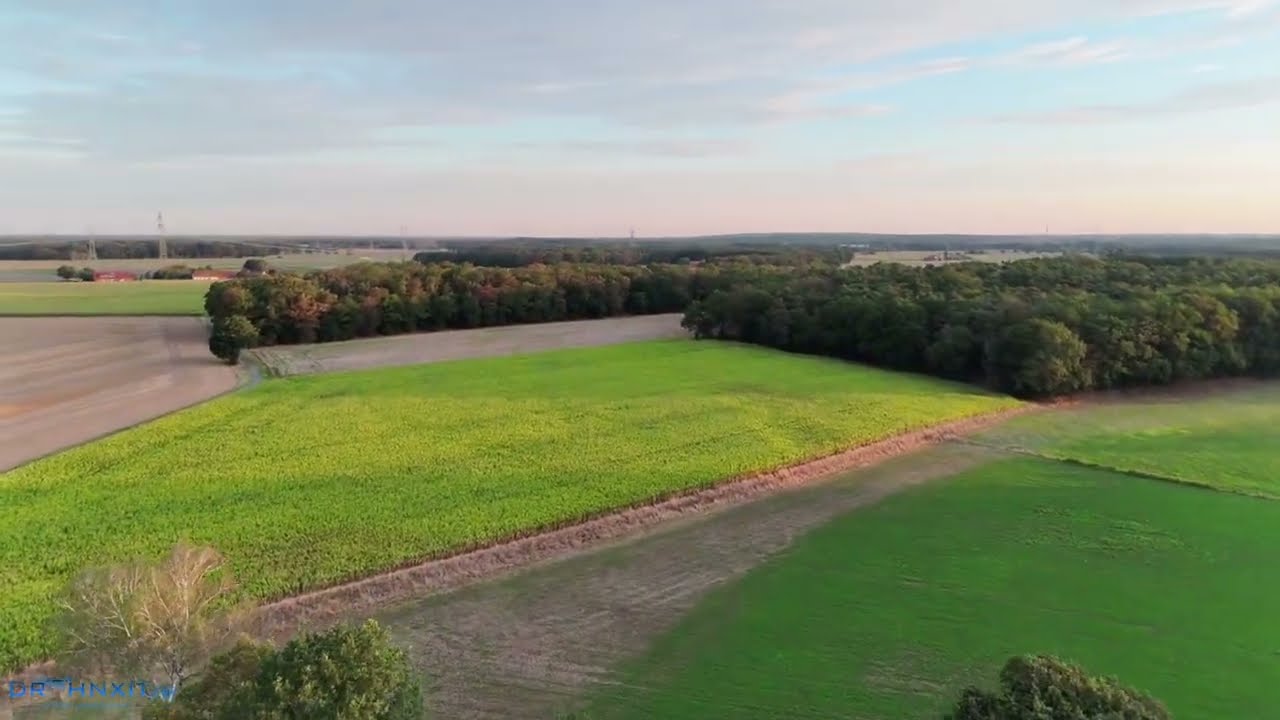 Kitzrettung mit Wärmebild-Drohne – so retten wir Rehkitze vor der Mahd | DrohnXit