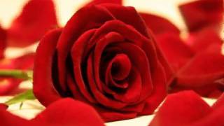 Var Git Bu Aksam.. (Amatör Süper Şarkı)