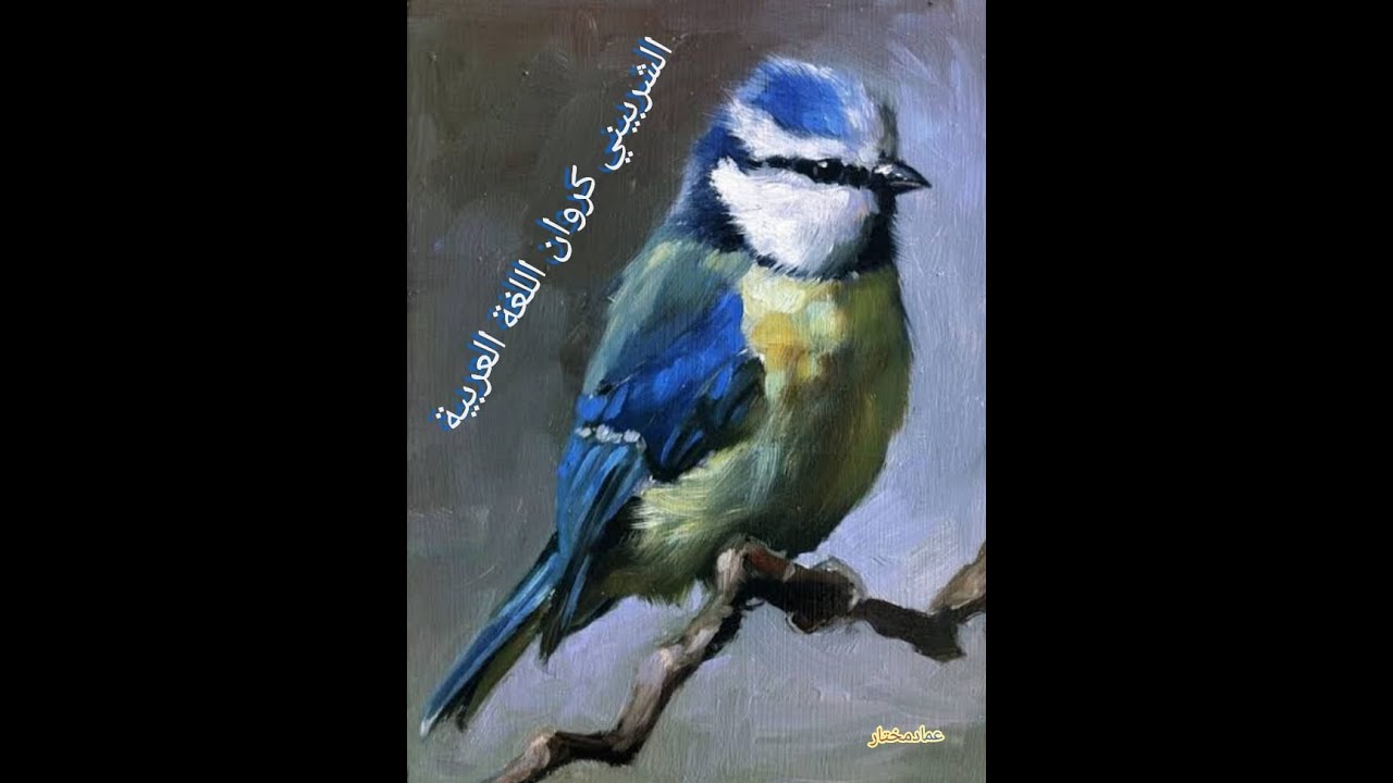 الثاني الإعدادي كم الاستفهامية وكم الخبرية