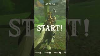 How To Fly In Zelda Botw Moonjump Glitch