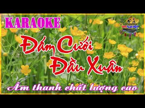Karaoke Đám cưới đầu xuân - tone nam (Dễ hát)