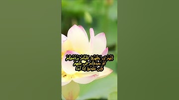 سورة الكهف اية 20 - بصوت جميل - إِنَّهُمْ إِن يَظْهَرُوا عَلَيْكُمْ يَرْجُمُوكُمْ