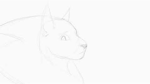 Chose Joy - Sol and Purdy MAP - Part 14 WIP