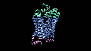 ∆° Excess Dopamine Relief Hz - Treat Paranoia, Schizophrenia, Hallucinations, - Isochronic Tones