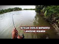 Berburu Ikan Pemangsa Anak || Setelah Dirilis Bapak Nya Langsung Ngamuk