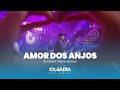 Vibe ousadia  amor dos anjos show at aqui vdeo oficial