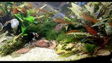 First Samsung nx1 Hack by Vasile