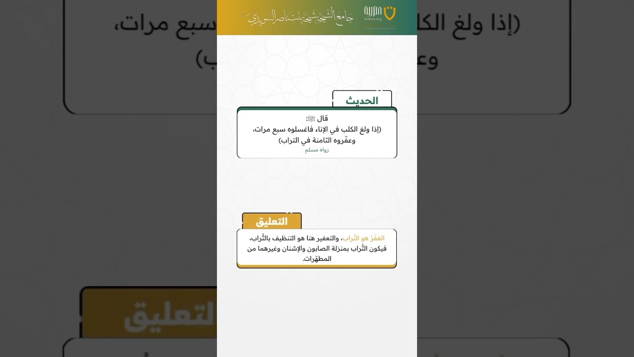 حديث وتعليق (31)