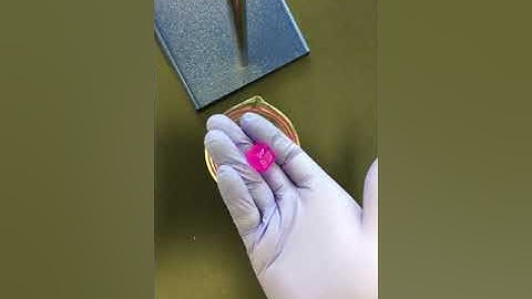 Cell Size Lab Part 1