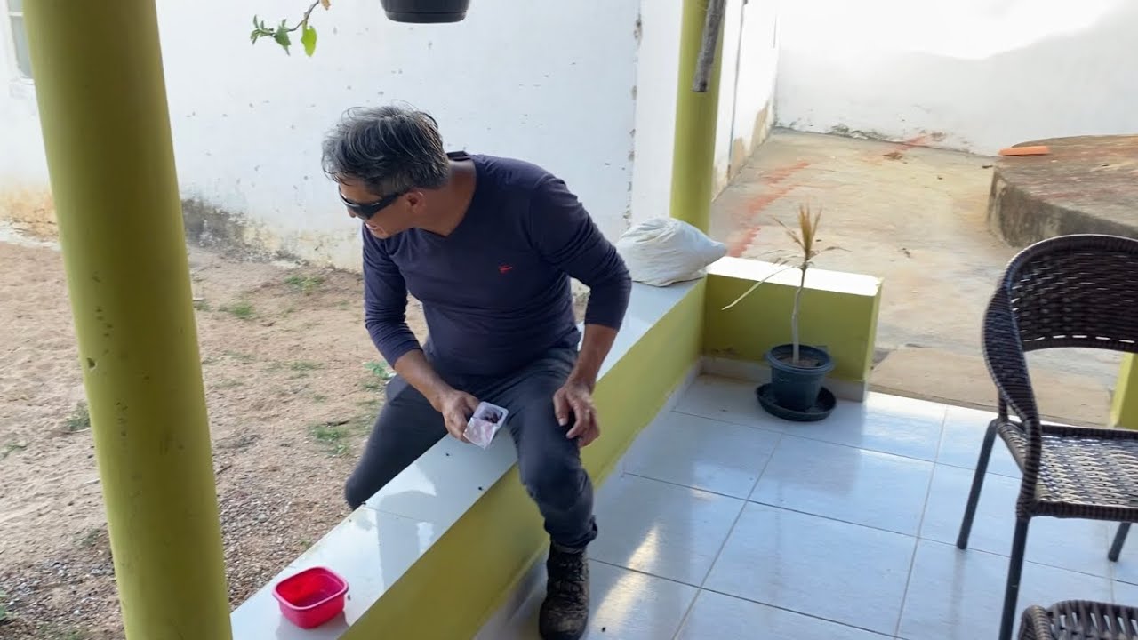 DEI COMIDA DE CACHORRO AO REI DAS SERPENTES