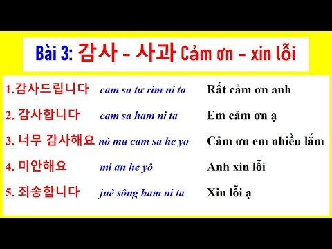 Video: Cách tóm tắt một câu chuyện: 11 bước (có hình ảnh)