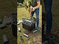 Ultimate Vertical Carrot Growing Hack 🥕 | From Pipes to Harvest in a Beautiful Garden #garden