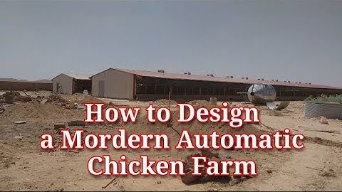 How To Design a Modern Automatic Chicken Farm I Layers Chicken Farming I Poultry House Design