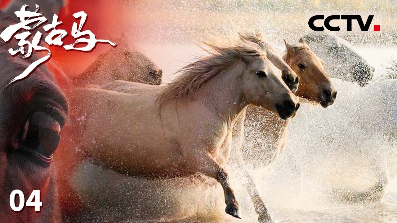 《蒙古马》04 蒙古马走进都市成为儿童教学用马 马文化与竞技比赛融合【CCTV纪录】
